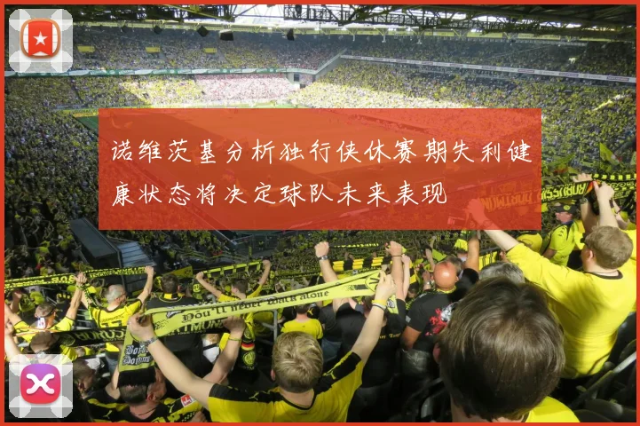 诺维茨基分析独行侠休赛期失利健康状态将决定球队未来表现