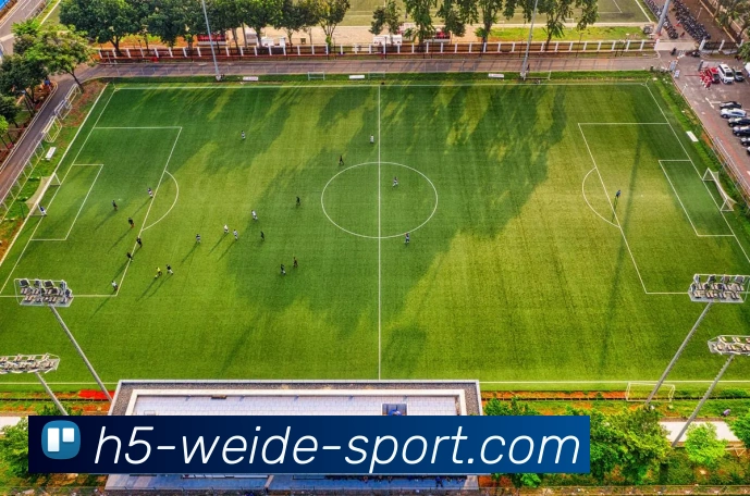 伟德体育平台生态图