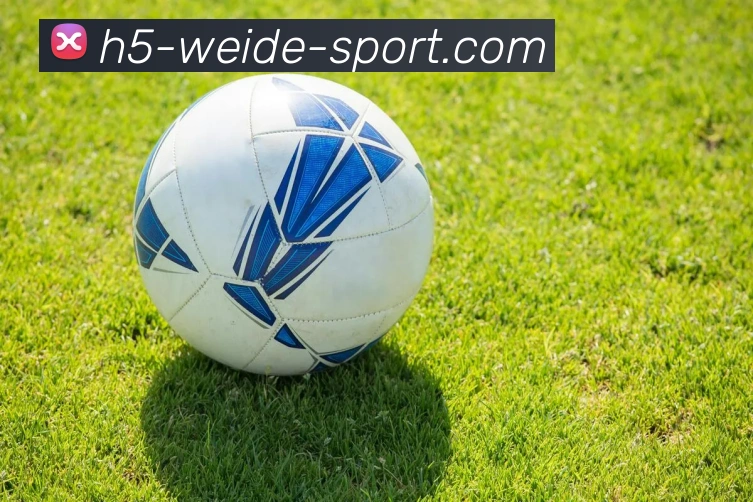 伟德体育APP 封面图